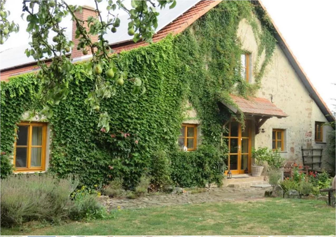 Haus Falkenhof Knüllwald Eksteriør billede
