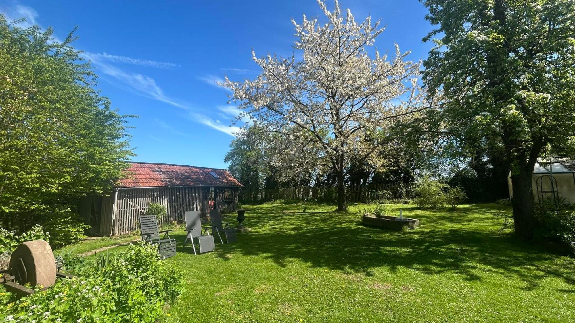 Haus Falkenhof Knüllwald Eksteriør billede